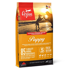 غذا خشک سگ پاپی نژاد بزرگ اوریجن orijen large breed puppy طعم ماکیان و ماهی وزن 11/4 کیلوگرم