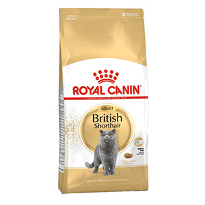 غذا خشک گربه رویال کنین بریتیش شورت هیر royal canin british short hair وزن 2 کیلوگرم