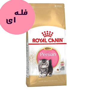 غذا خشک بچه گربه پرشین کیتن رویال کنین Royal Canin Persian Kitten طعم مرغ فله ای وزن 100 گرم