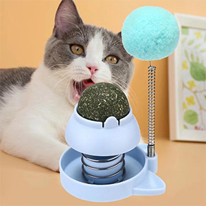 اسباب بازی و آبنبات کت نیپ گربه Catnip طرح فنری