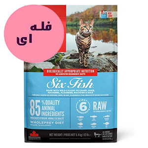 غذا خشک گربه اوریجن سیکس فیش orijen six fish طعم ماهی فله ای وزن 100 گرم