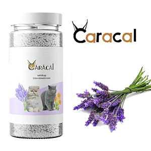 بوگیر و خوشبوکننده خاک گربه کاراکال Caracal رایحه لوندر حجم 700ml
