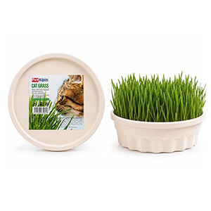 بذر علف و گرس گربه پت آلپین PetAlpin Cat Grass وزن 220 گرم