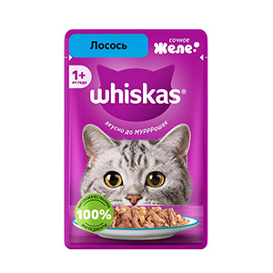پوچ گربه ویسکاس whiskas طعم ماهی سالمون در ژله بافت تکه ای وزن 75 گرم