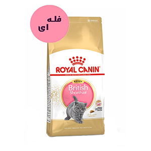 غذا خشک بچه گربه رویال کنین بریتیش royal canin british فله ای 100 گرم