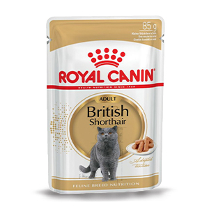 پوچ گربه رویال کنین royal canin مدل british وزن 85 گرم