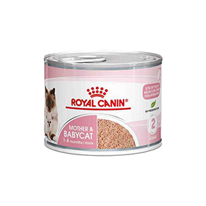 کنسرو گربه رویال کنین Royal canin mother&baby وزن 195 گرم